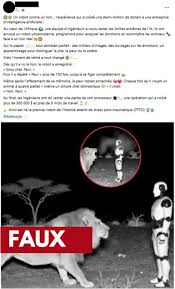 VÉRIF - Un robot doté dIA est-il vraiment capable de ressentir la peur  face à un lion ? | TF1 INFO