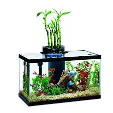Elive Aqua Duo 10 Gallon Led Kit Aquarium Starter Kits All About Betta Fish Tanks Aquaponics Betta Fish Tank Aquaponics Diy