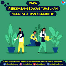We did not find results for: Cara Perkembangbiakan Tumbuhan Generatif Dan Vegetatif Beserta Ciri Cirinya