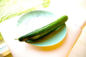 gurke gemuse aus deinem garten und balkon haus und beet in 2020 gurke gemuse kartoffeln pflanzen gurke