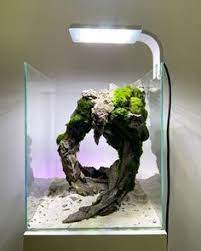 aquarium layout in 2021 aquarium nano aquarium reef tank