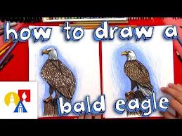 It doesn't have to be perfect. Follow Along With Us And Learn How To Draw A Realistic Bald Eagle For This Project You Ll Need A Marker And Paper An Art For Kids Hub Bald Eagle Art Eagle