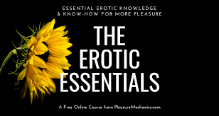 The mode of transmission of an agent via sexual contact (caused. Passionate Transitions Interview With Lucie Fielding Pleasure Mechanics
