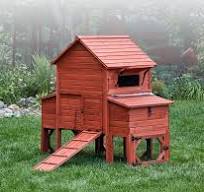 Chicken Coops (2026) | Backyard, Walk-In & Predator-Safe Coops