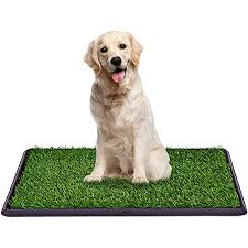 Maybe you would like to learn more about one of these? Eco Matrix Artificial Grass Pet Turf Dog Pee Pad For Entrance Door Mat Green Fake Grass Doormat Cat Training Lawn Rug Small Synthetic Grass Puppy Tray Carpet 46cm X 61cm Buy Online