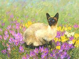 A Siamese Cat On A Crocus Lawn An Oil Painting By Leslie Stones Siamese Cats Facts Siamese Cats Cat Aesthetic