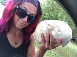 Are these stump puffballs in Ohio?