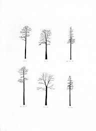 Tree Tattoo Ideas Minimalist Tattoo Tiny Tree Tattoo Tree Tattoo