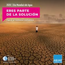 El consorcio de aguas de asturias, informa de la importancia de disponer de agua potable en nuestra vida diaria. Dia Mundial Del Agua 2020 Fundacion Aquae
