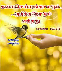 For The Time To Favour Her Yea The Set Time Is Come Psalms 102 13 Bible Words Images Bible Words Bible Quotes