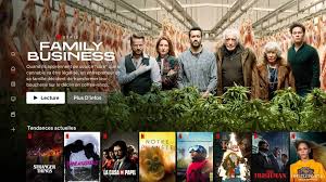 Do watch these hilarious web series to have a good laugh on a low or lazy day or after a hectic day at work. 20 French Series On Netflix That You Might Binge Watch French Iceberg