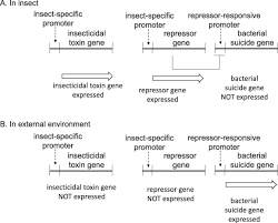 After this we will start to learn these concepts in details and also try to solve many problems and past year papers. Hype Or Opportunity Using Microbial Symbionts In Novel Strategies For Insect Pest Control Sciencedirect