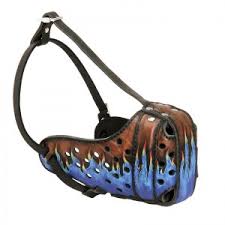 Résultat de recherche d'images pour "muselière chien"