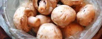Browse our listings to find jobs in germany for expats, including jobs for english speakers or those in your native language. Moosewood Mushroom Barley Soup The Apron Archives