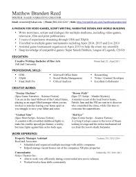rules of resume writing - Kleo.beachfix.co