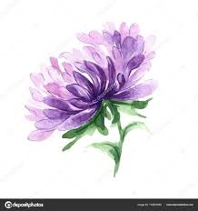 Pin By Iya Curso On Tattoos Aster Flower Tattoos Birth Flower Tattoos Watercolor Flowers