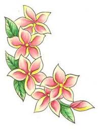 Image Result For Drawing Tropical Flowers Tiki Style Polynesiantattoos Tribal Tattoos Mano Hawaiian Flower Drawing Hawaiian Flower Tattoos Flower Drawing