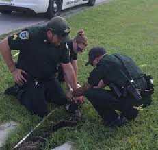 Ormond Beach Observer 7-27-23 by Observer Local News