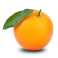 Download Orange Png Clipart HQ PNG Image | FreePNGImg