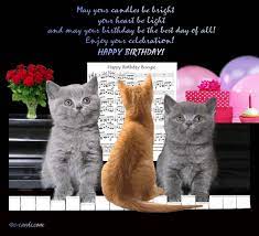 Cats Birthday Boogie Cat Birthday Wishes Happy Birthday Cat Cat Birthday Card