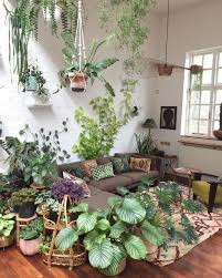 Soins 101 Houseplant Le Guide Ultime Pour Plantes D Interieur Heureux Et En Bonne Sante In 2020 Plant Decor Indoor House Plant Care Room With Plants