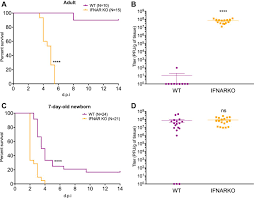 Sometimes the meningoencephalitis occurs during the initial infection with the herpes simplex virus, but most often it is caused by reactivation of the virus from an earlier. The Innate Immune Response To Herpes Simplex Virus 1 Infection Is Dampened In The Newborn Brain And Can Be Modulated By Exogenous Interferon Beta To Improve Survival Mbio