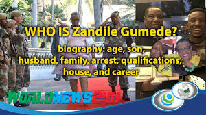 Seven zandile gumede supporters were arrested on thursday morning after violent clashes with police in front of former ethekwini mayor zandile gumede has been sworn in as an anc mpl in the. Zandile Gumede Biography Age Son Husband Family Arrest Qualifications House And Career Youtube