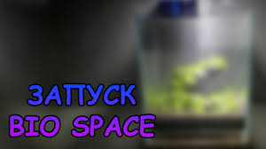 Запуск bio space 8 l аквамен акваскейп aquascape - BEST XXX TUBE