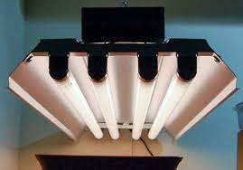 These fixtures might seem to be losing ground with high tech lighting competitors like leds and de, but fluorescent lights are firmly rooted as a consistent and cost effective light source from seedling thru vegetation. The 5 Best T5 Grow Lights To Buy Best Led Grow Lights Info