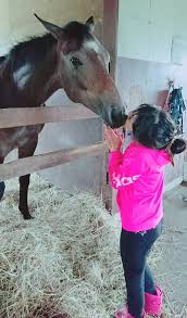 ダイシンベール (ゴールドアリュール) ヤマトディオーサ 牝7 2014 Https Xn O9j0bk9l4k169rk1cxv4aci7a739c Com Post 29368