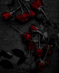 Aesthetic Black And Red Rose Wallpaper My Roses Grew Back As Thorns Roses Red Rosesinlove Flowers Love Picture Gothic Rose Rose Wallpaper Dark Fantasy