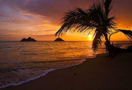 Sunset beach is vast and full of possibilities, making it the perfect destination for spending a relaxing day with your family. Pin On We Love Our Knockouts