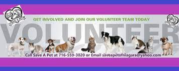 We are a no kill non profit animal shelter. Save A Pet Home Facebook