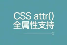 张鑫旭-鑫空间-鑫生活