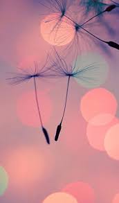 Coole bilder mit springende frau und helle lichter abstrakt blauen hintergrund. Planodefundo Cool Iphone Wallpapers Hd Dandelion Wallpaper Best Iphone Wallpapers