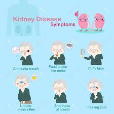 Old People With Kidney Disease Illustration Royalty Free Cliparts Vectors And Stock Illustration Image 92323472 Ella flowers with help from her daughters. old people with kidney disease illustration