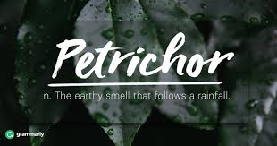 Some flowers are exquisite—there's that note you'd want to watch, or possibly. 8 Words For Nature Lovers Grammarly Blog