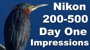 D500 Nikon 200 500mm Lens First Day Impressions Wildlife Birding Photography Youtube Photography Nikon Bird Photography