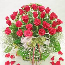 We did not find results for: Flowers To Dubai From India Send Flowers From India To Uae Dubai Cake Delivery Online Send Gifts To Dubai From India