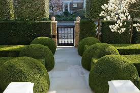 Thus it turns out very effective, but visible hedge with windows. Clean Air Save Your Home From Harmful Pollution With Clever Garden Hedge Choices Homes And Property Evening Standard