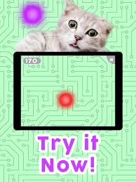 Cat mouse apk is one of the best entertainment and online streaming service application available for all the android users. Download Games For Cats Cat Fishing Mouse Chase Cat Game Free For Android Games For Cats Cat Fishing Mouse Chase Cat Game Apk Download Steprimo Com