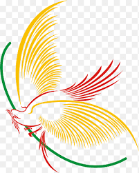 Vektor burung cendrawasih hitam pitih. Wilson S Bird Of Paradise New Guinea Raggiana Bird Of Paradise Paradise Animals Bird Png Pngegg