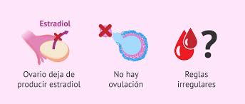 La Menopausia Precoz Causas Sintomas Y Tratamientos