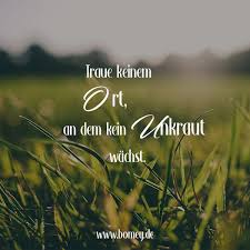 Traue Keinem Ort An Dem Kein Unkraut Wachst Spruche Zitate Garten Spruche Garten Garten Zitate Gartenspruche