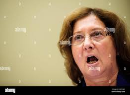 A j lamb hi-res stock photography and images