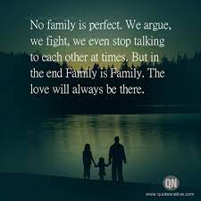No Family Is Perfect Family Quotes Family Quotes Life Facts Perfection Quotes