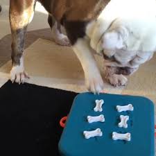 Check spelling or type a new query. Nina Ottosson Puzzles Nina Ottosson By Outward Hound Dog Casino And Bulldog Facebook
