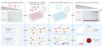 Image result for Neutralization Test