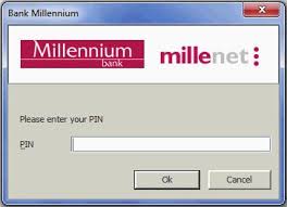 Millennium bank fl, lake city, florida. Bank Millennium Millenet For Corporates Guide Pdf Free Download