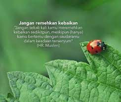 Kata kata bijak ldr islami kata kata bijak romantis 120 Kata Kata Bijak Islami Kehidupan Inspiratif Dan Menyentuh Ha